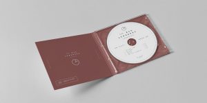 25 CD Mockups for Storing Your Design Data