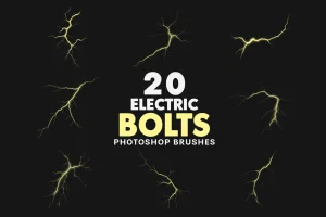 20 Electric Bolts Brushes