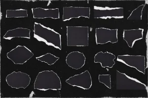20 Isolated Paper Rips, Torn Ripped Pieces