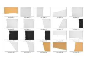 20 Torn Paper Overlay
