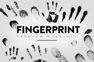 30 Fingerprint Overlay