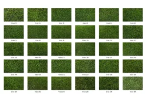 30 Grass Texture HQ