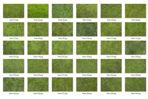 30 Grass Texture HQ
