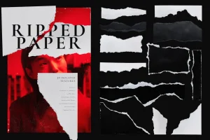 30 Isolated Ripped Paper Elements