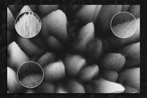 3d Gray Backgrounds V2