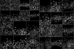 50 Water Drops Overlays