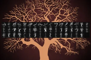 50 Winter Tree Branches Photoshop Stamp Brushes