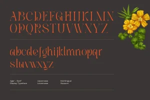Ager – Logo Font