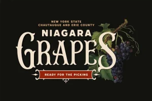 Agondav – Old Vintage Font
