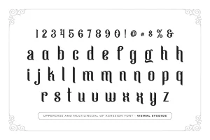 Agresion – Vintage Font