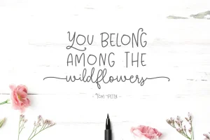 Among The Wildflowers Font Duo