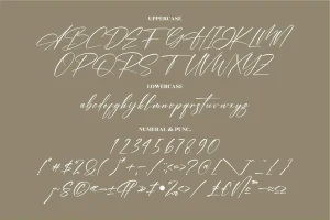 Amsterdam Signature Font