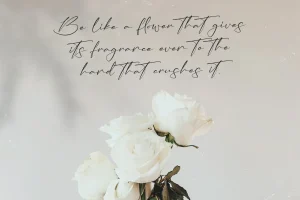 Anastasia Timothy Modern Signature Font