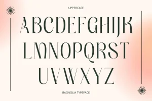 Bagnolia – Vintage Font