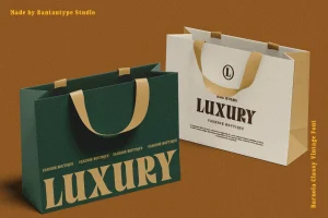 Barnola Classy Vintage Font