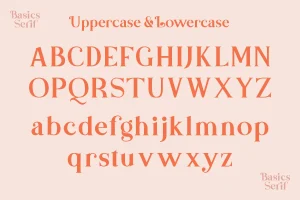 Basics – Classic Serif Font