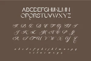 Bianca | Sans Script Font Duo