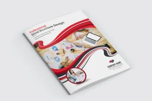 Bifold Brochure