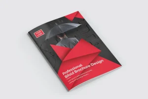 Bifold Brochure