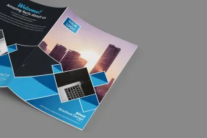 Bifold Brochure
