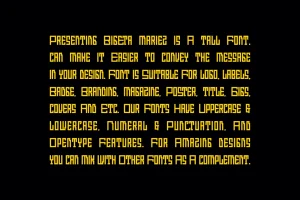 Bigeta Mariez – Techno & Futuristic Font
