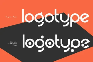 Bingo Geometric Logotype