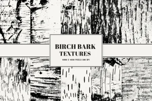 Birch Bark Textures