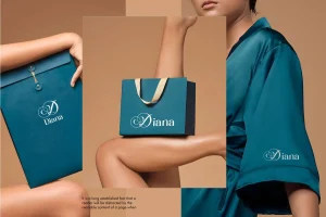 Blinka Bold Script Cursive Serif Luxury Font Duo