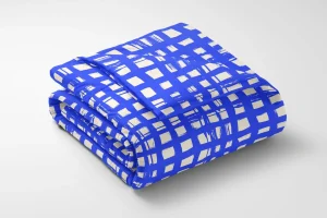 Blue Painted Grid