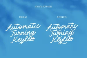 Blufcrowds Classic Script Font