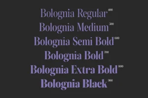 Bolognia – Classic Serif