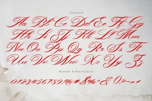 Bonthing Calligraphy Font