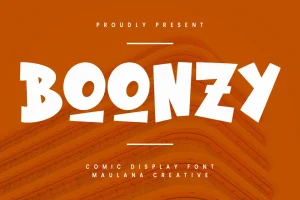 Boonzy Comic Display Font