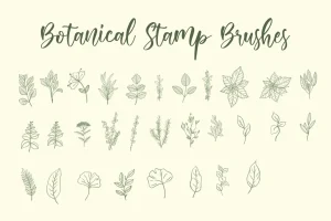 Botanical | Stamp Brushes