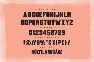 Boxer Typeface