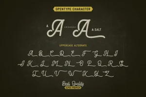 Brandmaster – Retro Font Duo