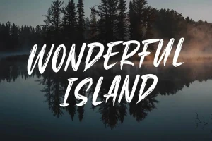 Brenzy – Wild Brush Font