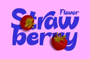 Bulgera – Display Font