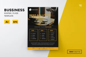 Business Pricing Flyer