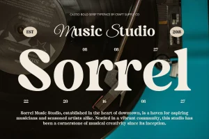Castio – Bold Font