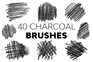 Charcoal Brushes