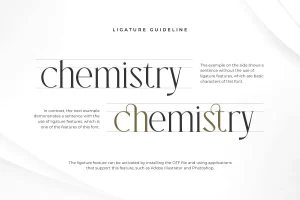 Charsen – Branding Typeface