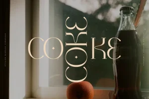 Chavter Stylish  Display Typeface Font