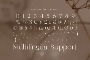 Clarist – Modern Elegant Luxury Font