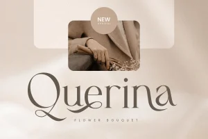 Claudia – Ligature Luxury Font