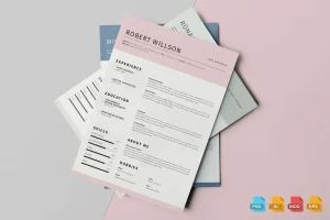 Clean Resume Template Vol.2
