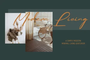 Contoursy Signature Font