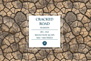 Cracked Road