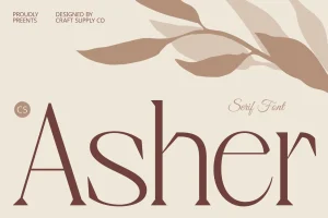 CS Asher – Elegant Font