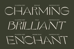 CS Austria – Elegant Font